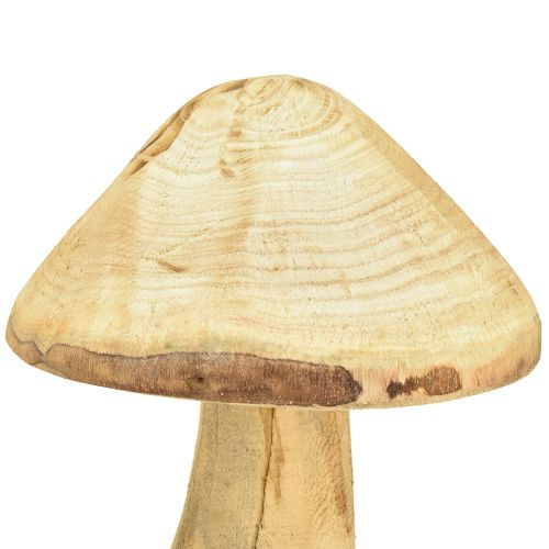 Floristik24 Natuurlijke decoratieve paddenstoel gemaakt van iepenhout houten paddenstoel 27cm