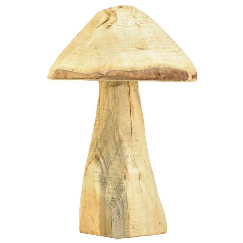 Floristik24 Natuurlijke decoratieve paddenstoel gemaakt van iepenhout houten paddenstoel 27cm