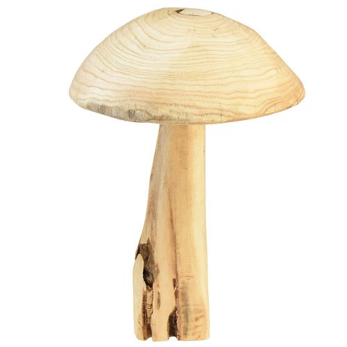 Floristik24 Paddestoelsculptuur van natuurlijk iephout - Rustiek ontwerp, 37 cm - Stijlvolle tuin- en interieurdecoratie