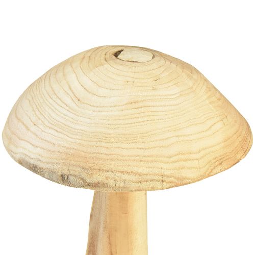 Floristik24 Paddestoelsculptuur van natuurlijk iephout - Rustiek ontwerp, 37 cm - Stijlvolle tuin- en interieurdecoratie