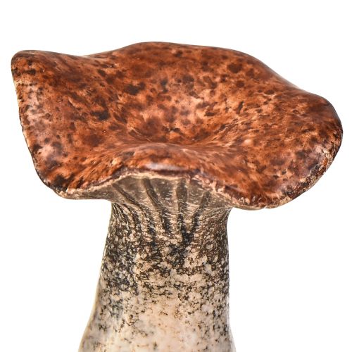 Artikel Op de natuur geïnspireerde decoratieve paddestoelfiguren - Verschillende tinten bruin, 6 cm - Charmante accenten voor tuin en huis, pakket van 3