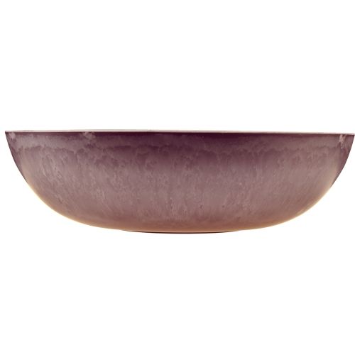 Artikel Elegante paarse plastic schaal 37x10,5 cm - veelzijdig ter decoratie - 3 stuks