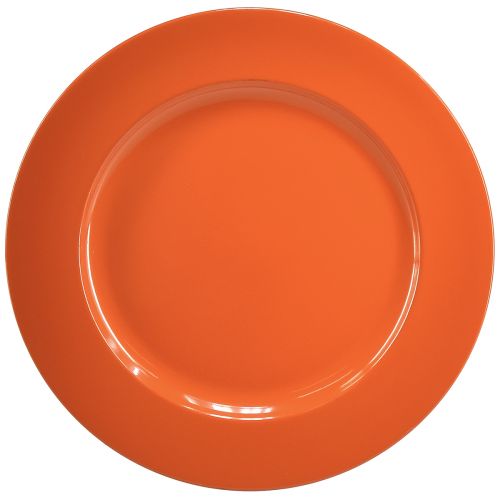 Artikel Oranje plastic borden – 28 cm – Ideaal voor feestjes en decoratie – 4 stuks