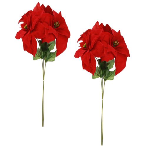 Artikel Prachtige kerstster - Poinsettia in rood - 46 cm 6st 2 bos