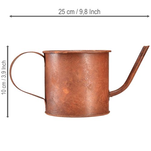Artikel Roestige decoratieve gieter, mini plantenpotje, metaal, Ø10cm, H9cm