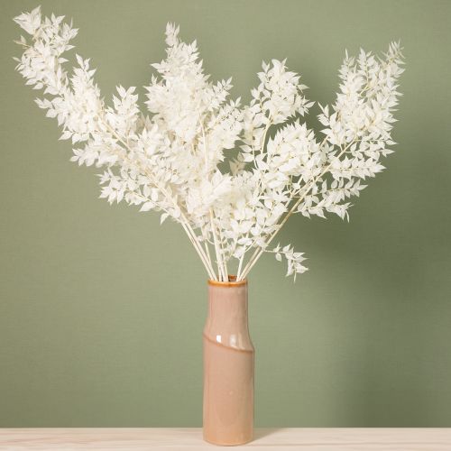 Artikel Ruscus takken decoratieve takken droogbloemen gebleekt 10 stuks