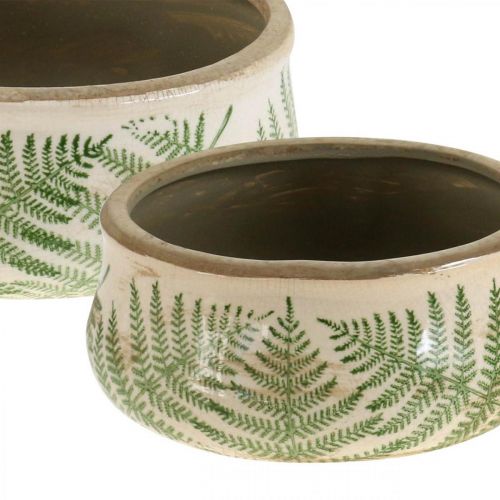 Floristik24 Plantenschaal varen aardewerk plantenbak rond keramiek Ø14/18cm set van 2
