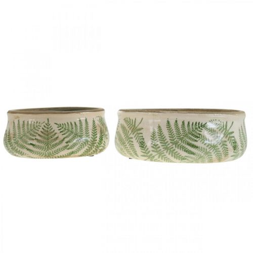 Floristik24 Plantenschaal varen aardewerk plantenbak rond keramiek Ø14/18cm set van 2