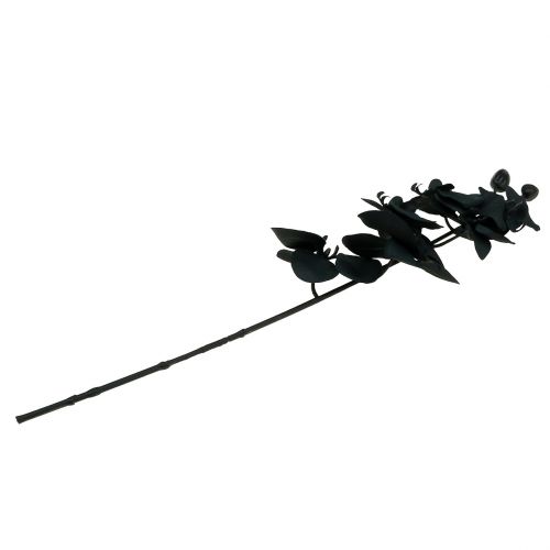 Artikel Orchidee ter decoratie Zwart 54cm