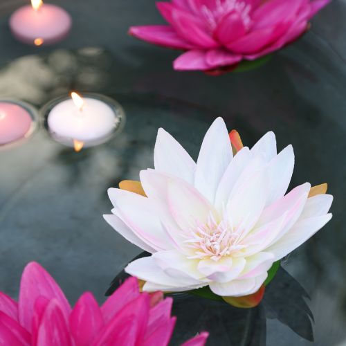 Artikel Drijvende waterlelies kunsttafeldecoratie wit, roze Ø15cm 2 stuks