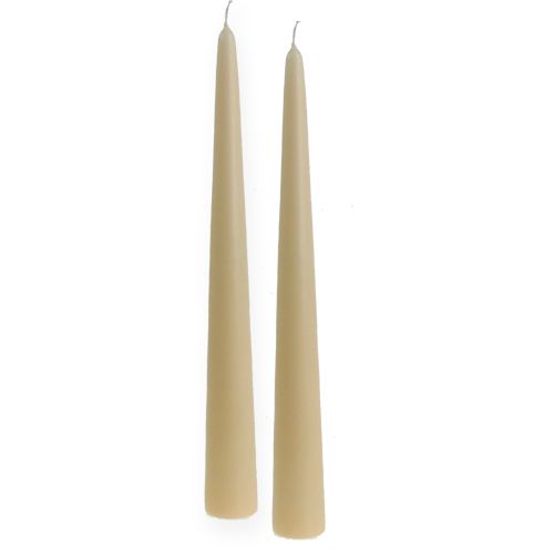 Floristik24 Puntkaars 300/40 crème 8st