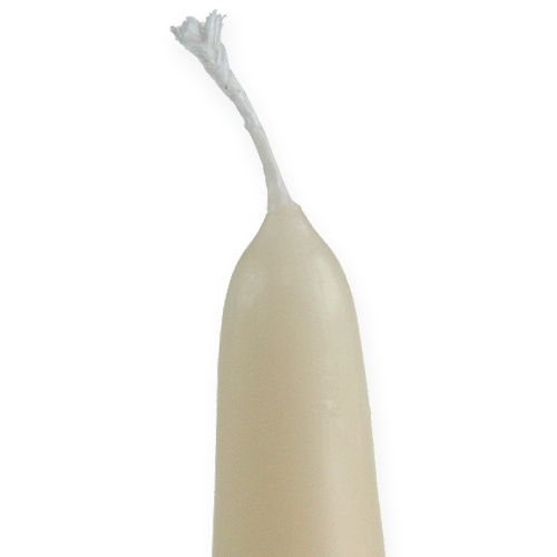 Floristik24 Puntkaars 300/40 crème 8st