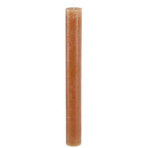 Floristik24 Taper kaarsen tafelkaarsen in karamel 34mm x 300mm 4 st