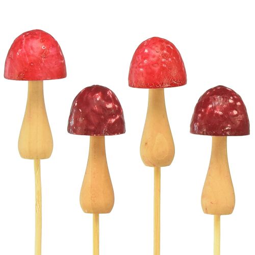 Floristik24 Bloemplug paddestoel decoratieve houten plug rood Ø2,5cm 8 stuks