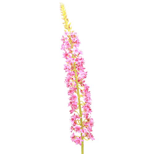 Floristik24 Steppe kaars Desert Tail Roze 106cm