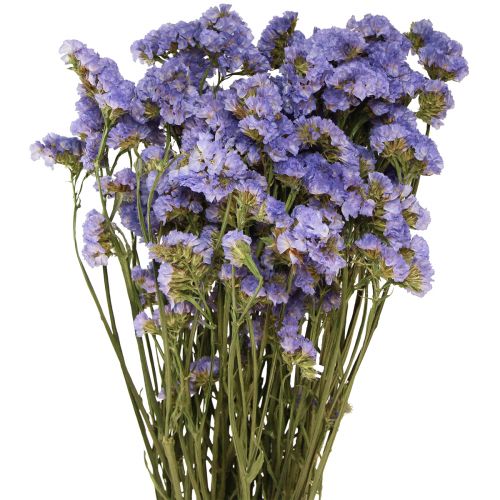 Floristik24 Zeesering Paars Statice Limonium sinuatum Gedroogde bloemen 60cm 50g