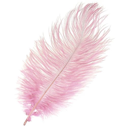 Floristik24 Struisvogelveren Echte Veren Decoratie Roze 20-25cm 12 st