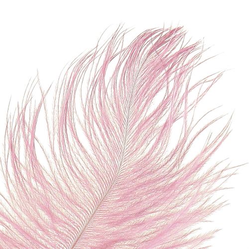 Artikel Struisvogelveren Echte Veren Decoratie Roze 20-25cm 12 st