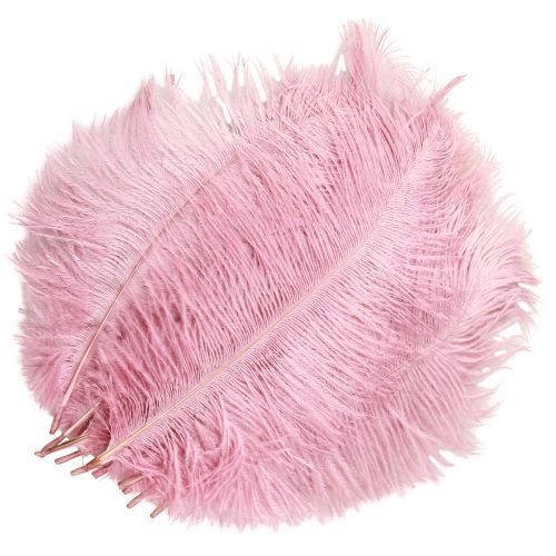 Artikel Struisvogelveren Echte Veren Decoratie Roze 20-25cm 12 st