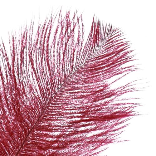 Artikel Struisvogelveren echte veren decoratie wijnrood 20-25cm 12 st