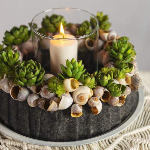 Artikel Succulent Echeveria Kunst Groene Plant Groen Ø5,5cm 12,5cm