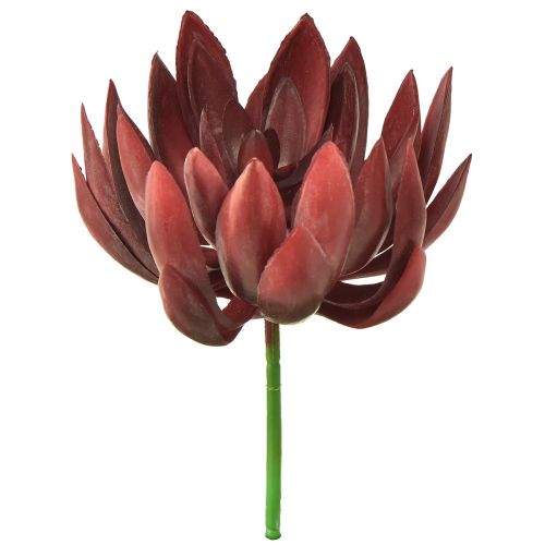 Floristik24 Succulent Echeveria Kunst Groene Planten Rood Ø12cm 19,5cm