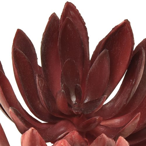 Floristik24 Succulent Echeveria Kunst Groene Planten Rood Ø12cm 19,5cm