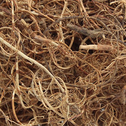 Floristik24 Decovezel Tamarindevezel Natur handwerkmateriaal natuurlijke vezel 500g