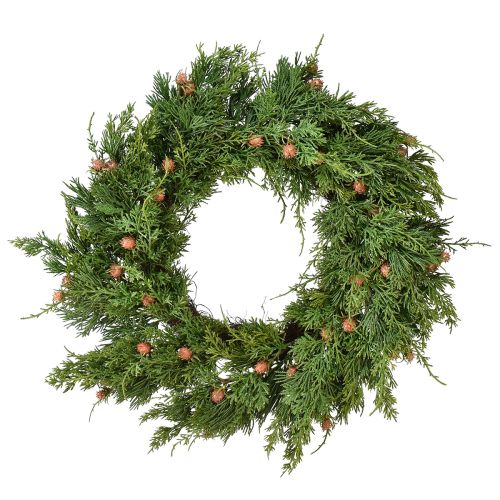Floristik24 Sparrenkrans Thuja met knoppen basis wijnrankenkrans Ø50cm