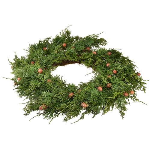 Floristik24 Sparrenkrans Thuja met knoppen basis wijnrankenkrans Ø50cm