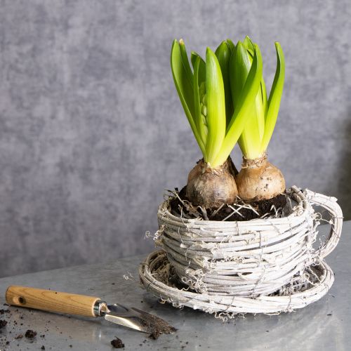 Artikel Theekopje van natuurlijk materiaal met een rustieke uitstraling, perfect voor een exclusieve interieurdecoratie (13 cm).