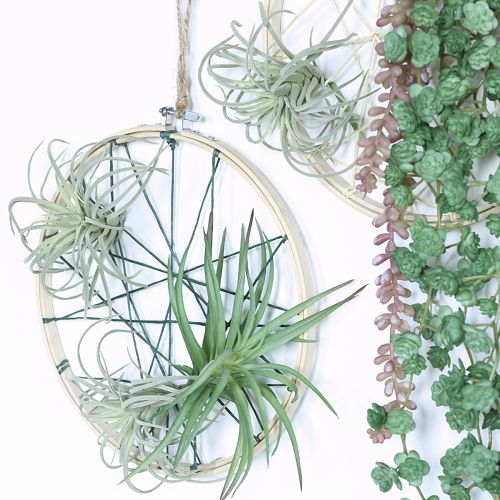 Artikel Tillandsia succulente kunstgroene planten 13cm