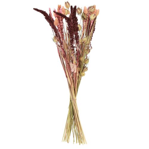 Floristik24 Droogbloemenboeket korrel Nigella roze oranje 50cm