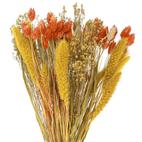 Floristik24 Droogbloemenboeket met nerf oranjegeel 50cm