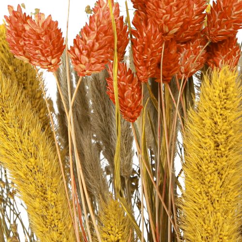 Floristik24 Droogbloemenboeket met nerf oranjegeel 50cm