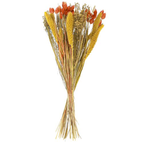Floristik24 Droogbloemenboeket met nerf oranjegeel 50cm