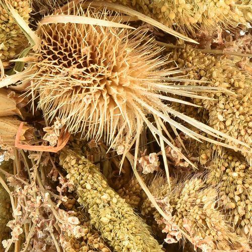 Artikel Droogkranskaart distels gierst geel olijfgroen Ø28cm