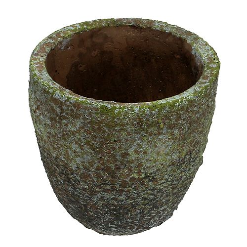 Floristik24 Plantenbak met mos Ø16cm H16cm 1st