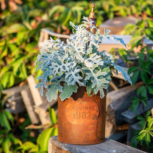 Artikel Plantenbak patina decoratief metaal met kraan H25/37/43cm set van 3 stuks
