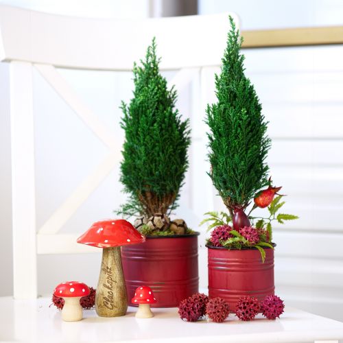 Artikel Plantenbak Metaal Blikken Vintage Plantenpot Rood Bruin Ø12/9,5cm Set van 2