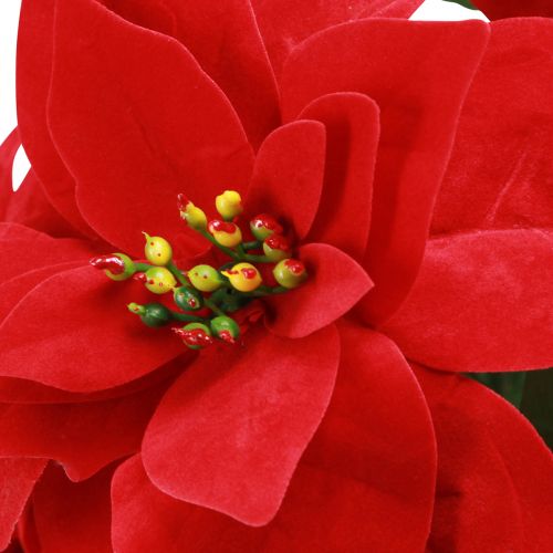 Artikel Poinsettia Kerstster Rood Kunstmatig L55cm 2st