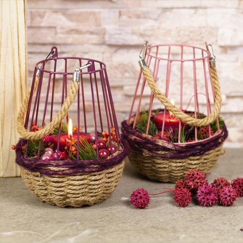Artikel Lantaarn met handvat en glas paars naturel Ø18cm H22cm