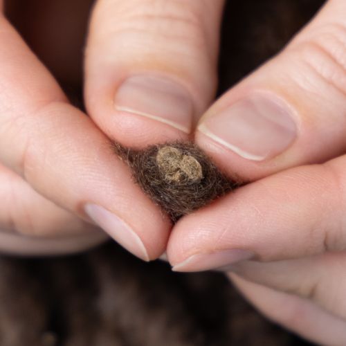 Artikel Pluizig Mirabell wollen koord, bruin, 25 meter decoratief lint voor bloemschikken en knutselprojecten.