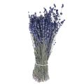 Floristik24 Gedroogde Lavendel Bosje Droogbloem Blauw 25cm 75g