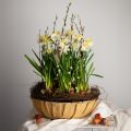Floristik24 Ronde plantenbak, bloemdecoratie, plastic schaal, bakje voor arrangementen groen, wit gevlekt H8,5cm Ø30cm