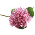 Floristik24 Hortensia kunstroze kunstbloem roze Ø15,5cm 45cm