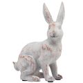 Floristik24 Konijn zittend decoratief konijn kunststeen wit bruin 15,5x8,5x22cm