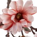 Floristik24 Magnoliatak magnolia kunstzalm 58cm