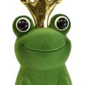 Floristik24 Decoratieve kikker, kikkerprins, lentedecoratie, kikker met gouden kroon groen 40,5cm