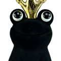 Floristik24 Decoratieve kikker, kikkerprins, lentedecoratie, kikker met gouden kroon zwart 40,5cm